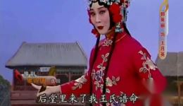 豫剧《花打朝》郭英丽演唱经典片段，领略传统戏曲魅力下载