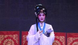 豫剧《泪洒相思地》下半场高清下载|经典悲剧戏曲资源,62分钟完整片段免费获取 豫剧《泪洒相思地》下半场高清下载|经典悲剧戏曲资源,62分钟完整片段免费获取