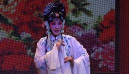 豫剧《泪洒相思地》上半场下载,77分钟凄美爱情戏曲资源 豫剧《泪洒相思地》上半场下载,77分钟凄美爱情戏曲资源