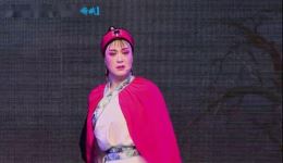 锡剧《窦娥冤》第五场斩娥字幕版下载 - 姜丽张小国朱惠明主演高清资源下载