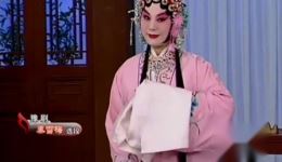 豫剧《秦雪梅》观文一折高清下载 苗文华经典演唱 正版戏曲资源