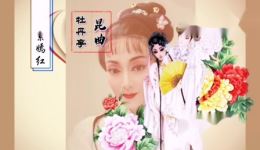 昆曲《牡丹亭》姹紫嫣红经典至情传奇，沉浸式领略传统昆曲之美