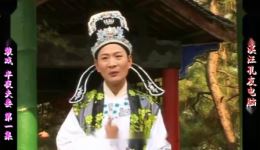 庐剧《半夜夫妻》全集下载 | 宽屏欣赏版六集全 | 王小五昂小红主演下载