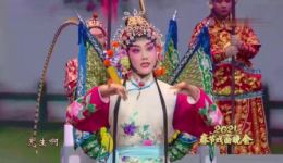 京剧《桃花村》高清正版下载 | 朱虹张佳春李晨主演经典戏曲资源下载