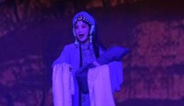 豫剧《金殿认子》上半场资源下载，孙花蕊陈亚飞精彩演绎下载
