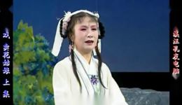 庐剧《卖花姑娘》上集资源下载 - 王玉兰主演经典戏曲，上集完整呈现下载