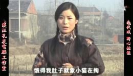 庐剧现代戏《野心姑娘》宽屏欣赏版全集下载,共六集高清资源 庐剧现代戏《野心姑娘》宽屏欣赏版全集下载,共六集高清资源