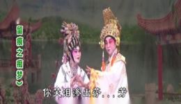 粤剧折子戏《香梦留痕之痴梦》卢翠玲陈焕卿主演,经典戏曲在线下载 粤剧折子戏《香梦留痕之痴梦》卢翠玲陈焕卿主演,经典戏曲在线下载