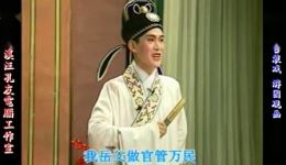 庐剧《游园观画》宽屏欣赏版牛静等名家精彩演绎，完整一集畅享经典戏曲盛宴下载