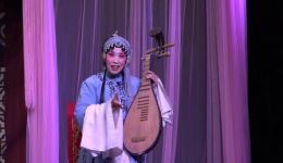 豫剧《包青天》上半场下载_许紫英主演经典戏曲资源_84分钟完整版下载