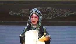 京剧经典《二进宫》刘萍苑瑞芳卢革文主演，忠臣护国剧情全收录下载