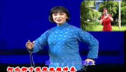 河北梆子《洪湖赤卫队》经典选段《儿的娘不必太痛伤》高清戏曲资源下载 河北梆子《洪湖赤卫队》经典选段《儿的娘不必太痛伤》高清戏曲资源下载