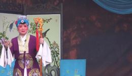 豫剧《对花枪》上半场资源下载｜徐俊明精彩演绎经典唱段下载