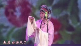 沈惠兰小王彬彬领衔锡剧《珍珠塔》经典传承，在线观看或下载江南名剧全本