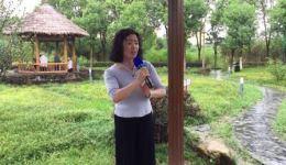 黄梅戏《女驸马》洞房选段下载严平、孙晓霞经典演绎,高清戏曲资源免费获取 黄梅戏《女驸马》洞房选段下载严平、孙晓霞经典演绎,高清戏曲资源免费获取
