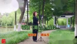 锡剧《情探》选段《阳告》姚妹琴演唱，经典戏曲在线下载