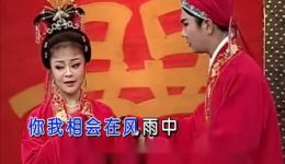 黄梅戏《新婚》李文刘华版经典选段,孟姜女范杞良深情对唱,在线观看下载 黄梅戏《新婚》李文刘华版经典选段,孟姜女范杞良深情对唱,在线观看下载