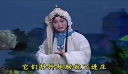淮剧《赵五娘》选段下载黄素萍演唱经典唱段，感受传统戏曲魅力