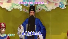 川剧高腔《卧虎令》公堂选段王松《朗朗乾坤昭昭天》高清字幕版下载下载