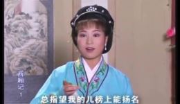 庐剧《崔莺莺待月西厢记》宽屏欣赏版下载|共六集全剧资源 庐剧《崔莺莺待月西厢记》宽屏欣赏版下载|共六集全剧资源