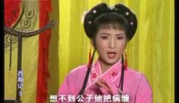 庐剧《崔莺莺待月西厢记》宽屏欣赏版全六集下载 - 经典戏曲资源 庐剧《崔莺莺待月西厢记》宽屏欣赏版全六集下载 - 经典戏曲资源
