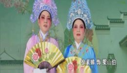 越剧《梁祝·十八相送》徐素娣林银耳演唱，经典名段在线下载下载