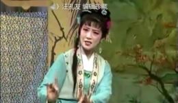 红杏出墙