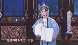 评剧《玉镯案》精彩片段下载，卞苓玉倾情演绎，不容错过