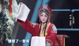 评剧《花为媒》杨蕾张毓哲经典演绎，传统戏曲名段在线畅享