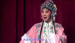 婺剧《珍珠塔》陈咪咪版赠银片段下载 - 经典戏曲资源在线获取下载
