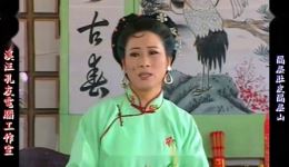 庐剧《隔层肚皮隔层山》宽屏欣赏版全集下载 - 共六集完整戏曲资源