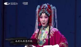锁麟囊