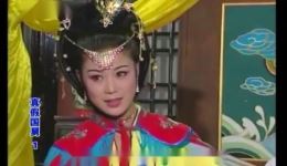庐剧《人间真爱姐弟情》宽屏欣赏版全集下载 - 共四集高清资源