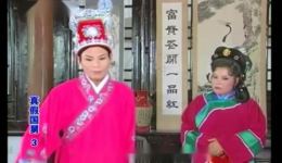 庐剧《人间真爱姐弟情》宽屏欣赏版全集下载，共四集高清资源