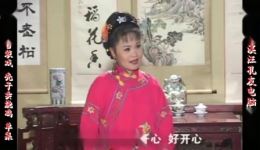 庐剧《秃子卖烧鸡》宽屏欣赏版下载，共一集，经典地方戏曲资源