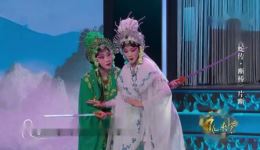 婺剧《白蛇传·断桥》张琛珞李忠于倩云精彩演绎，经典片段在线下载下载