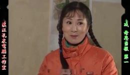 庐剧现代戏《母恩当报》宽屏欣赏版全集下载，共四集高清资源