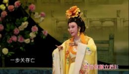 张怡凰潮剧艺术专辑《雨打梨花花飘零》全集下载,正宗潮剧经典,高清资源一键获取 张怡凰潮剧艺术专辑《雨打梨花花飘零》全集下载,正宗潮剧经典,高清资源一键获取