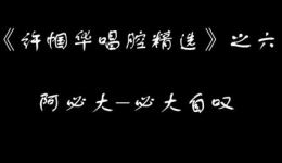 沪剧经典《许帼华唱腔精选》1994年珍贵录音下载，音频加字幕，重温名家经典唱段