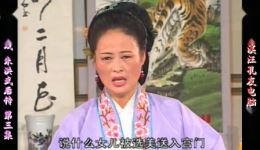 朱洪武后传