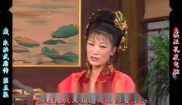 朱洪武后传