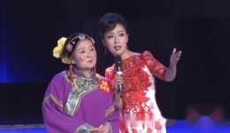 梨园春20年擂主争霸赛总决赛第二场豫剧经典对决，精彩戏曲盛宴在线观看