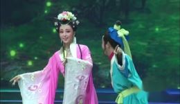 黄梅戏《牛郎织女》选段“果然喜从天上降”赵章伟袁媛演绎经典戏曲 黄梅戏《牛郎织女》选段“果然喜从天上降”赵章伟袁媛演绎经典戏曲