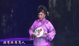 黄梅戏《六尺巷》选段下载，王成王霞魏瑜遥精彩演绎，感受传统美德与戏曲魅力下载