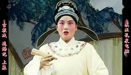 西路庐剧《追婚记》宽屏欣赏版下载，共两集全剧资源在线观看