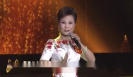 梨园春20年擂主争霸赛总决赛第四场明星擂主巅峰对决，名家坐镇精彩呈现