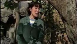 李二嫂后传