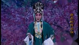 王蓉蓉京剧《西厢记》选段下载，经典唱腔演绎爱情佳话下载