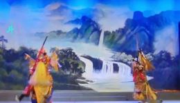 婺剧经典《龙虎斗》选段，陈三华、赵松亮演绎历史传奇