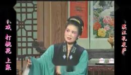 庐剧《打桃花》周小五精彩演绎,共两集完整呈现,免费戏曲资源在线观看下载 庐剧《打桃花》周小五精彩演绎,共两集完整呈现,免费戏曲资源在线观看下载